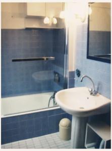 uma casa de banho com um lavatório e uma banheira com um lavatório. em AU GRAND PIN em Fouesnant