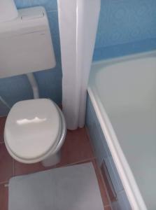 uma casa de banho com um WC branco e uma banheira em Sobe Ćuskić em Bohinj