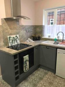 una cocina con fregadero y estufa horno superior en Brook Lodge Garden Flat, en Swanage