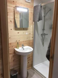 a bathroom with a sink and a shower and a mirror at Orchard Luxe Glamping Pod in Dungannon