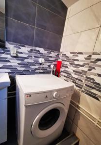 a bathroom with a washing machine in a bathroom at Vila Jotic, Zavojsko jezero in Pirot