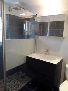 La salle de bains est pourvue d'un lavabo et de toilettes. dans l'établissement La Petite Mer’veille, à Sainte-Maxime