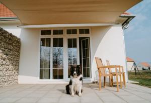 Domácí mazlíčci ubytovaní s hosty v ubytování Chalets Franciska Major, Pro Village