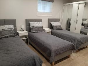 sypialnia z dwoma łóżkami i lustrem w obiekcie Central Platinum Apartments 24 w Rybniku