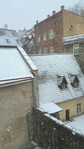 Imaginary Hostel pozimi
