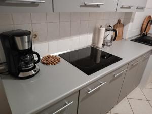 Kuchyň nebo kuchyňský kout v ubytování Ferienwohnung Innenstadt