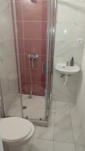 a bathroom with a shower and a toilet and a sink at Rose`s place in Mindelo
