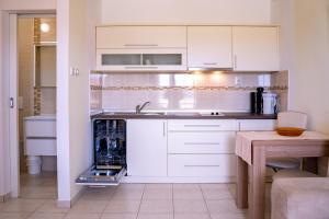 Кухня или мини-кухня в Apartments Stare Brajde
