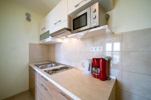 Кухня или мини-кухня в Apartments Stare Brajde
