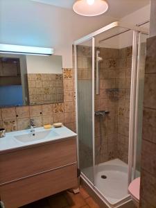 a bathroom with a sink and a shower at Studio belle vue sur les montagnes in Le Grand-Bornand