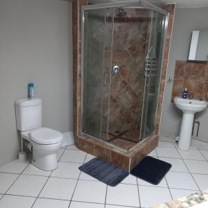 a bathroom with a shower and a toilet and a sink at Rilli's Inn Studio in Mtunzini