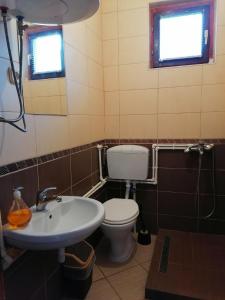 une salle de bain avec toilettes et lavabo dans l'établissement Villa Apartments STEFAN - Ramne Ohrid, à Ohrid
