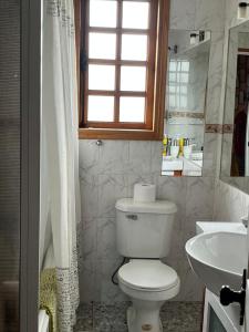 a white bathroom with a toilet and a sink at Hospedaje BoppHouse in Coihaique