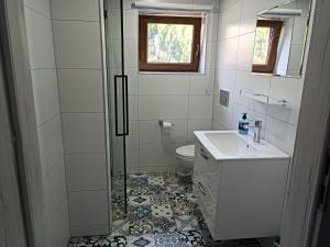 a bathroom with a sink and a shower and a toilet at Apartament Kristel Zator in Podolsze
