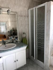 La salle de bains est pourvue d'une douche, d'un lavabo et d'un miroir. dans l'établissement Belle maison familiale / grande piscine chauffée, à Biscarrosse
