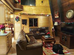 a living room with a leather couch and a television at Julian House of Games in Julian