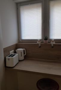 eine Küchentheke mit einem Toaster und einem Fenster in der Unterkunft Avantgarde in Euskirchen