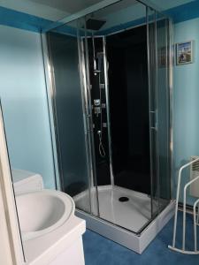 a bathroom with a shower and a toilet and a sink at Maisonnette La Bienvenue in Trainel