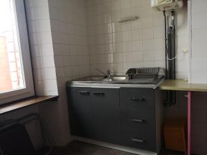 y baño pequeño con lavabo y ducha. en Maisonnette La Bienvenue en Trainel