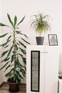 two potted plants sitting on top of a white cabinet at Apartman Stella in Bosanska Gradiška