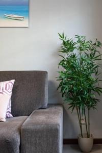 a living room with a couch and a potted plant at PISO MODERNO COMPLETO LOVE MARIN 2 in Marín