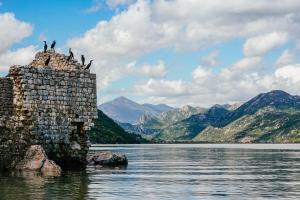 a group of birds sitting on a stone pillar in the water at Apartmani Konoba Starčevo in Virpazar