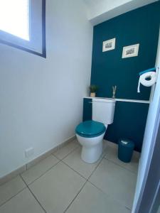 a bathroom with a toilet and a blue wall at Gite comme chez soi Ducey les Chèris in Ducey +22 photos