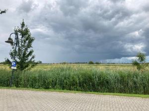 ein Straßenlicht neben einem hohen Gras in der Unterkunft Trekvogels Utkiek in Dornum