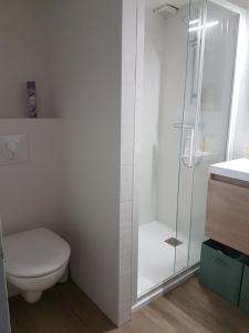 W łazience znajduje się toaleta i przeszklony prysznic. w obiekcie Petit pavillon St Pierre w mieście Saint Pierre La Mer +7 zdjęć