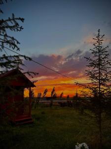 un coucher de soleil dans un champ avec une maison et un arbre dans l'établissement Гостевой дом Темирлан, à Kegeti