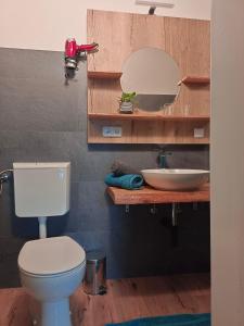 ein Badezimmer mit einem WC, einem Waschbecken und einem Spiegel in der Unterkunft Frühstückspension Lemberger in Dellach im Drautal