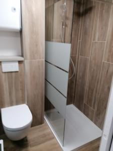 La salle de bains est pourvue d'une douche et de toilettes. dans l'établissement BEIJA FLOR, au Cap d'Agde