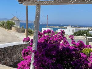 a garden with purple flowers on a wall at Villa cycladique POSEIDON in Parikia
