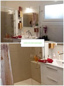 uma casa de banho com um lavatório e um espelho em L 'EDELWEISS de 1 a 9 personnes 