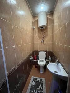 a small bathroom with a toilet and a sink at Karabolo in Dushanbe