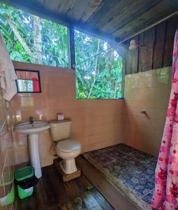 łazienka z toaletą, umywalką i oknem w obiekcie Citronela Lodge Corcovado w mieście Bahía Drake