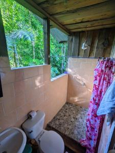 a bathroom with a toilet and a sink and a window at Citronela Lodge Corcovado in Drake
