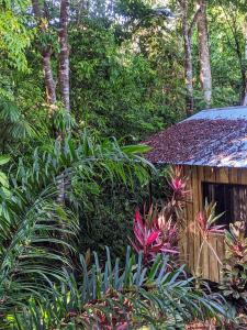 un jardin avec des plantes et un bâtiment en bois dans l'établissement Citronela Lodge Corcovado, à Drake