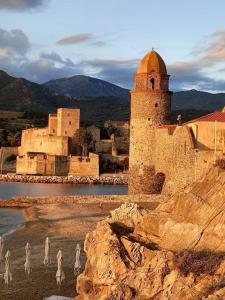 a group of birds standing on the beach near a castle at la crique in Collioure