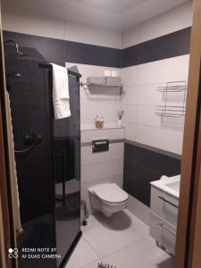 Kúpeľňa v ubytovaní Domek Jurgów 406