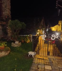 un chien debout à côté d'une porte la nuit dans l'établissement Casa Rural Felip, à Espot