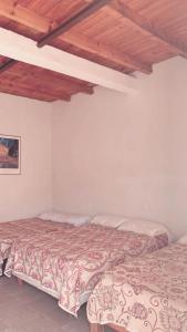 Afbeelding uit fotogalerij van Catorce Capital A una HORA de Real de Catorce in Estación Catorce +24 foto's