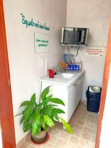 een badkamer met een wastafel en een plant bij Pousada Estrela Mare in São Sebastião