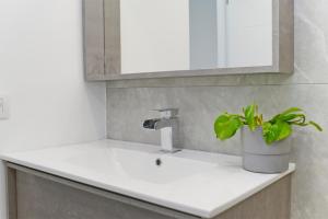 un lavabo con una maceta. en Apartamento Dunas De Famara, en Famara 17 fotos más