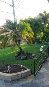 una palmera en un parque junto a una valla en Caribbean Estates, 10 mins from the Beach, Beautiful Gated Community, en Portmore