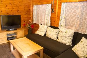 un soggiorno con un divano e una TV di The Hideaway a Želiv