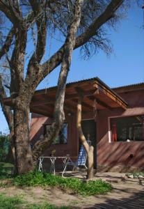 una cabaña de madera con un árbol delante en Casa Luz y Armonía en Villa Las Rosas