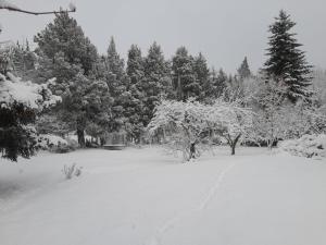 Un Espacio Cómodo Cómodo durante el invierno