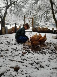 Un Espacio Cómodo Cómodo durante el invierno