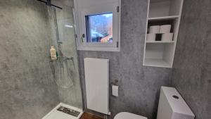un bagno con doccia, WC e lavandino di Studio direkt an der Langlaufloipe a Oberwald
